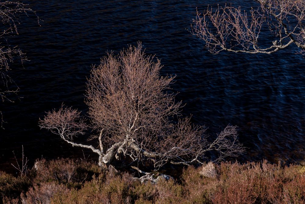 in den schottischen highlands