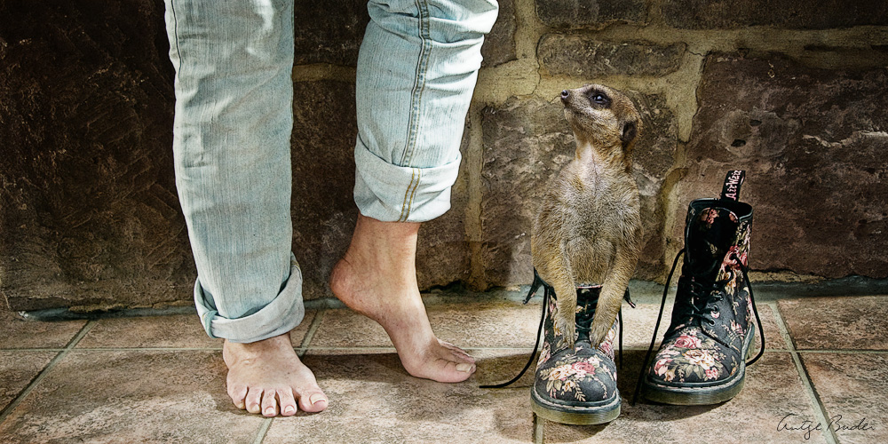 in den Schuhen des anderen ...