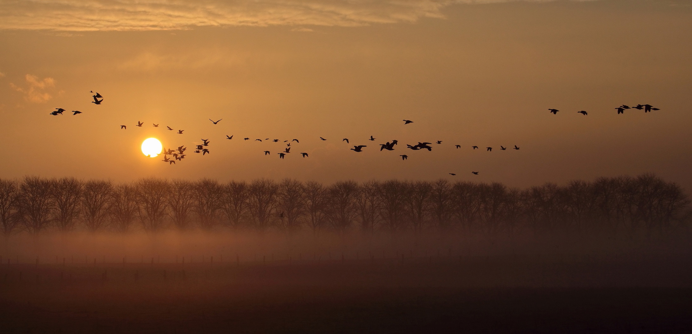 In den Sonnenaufgang...