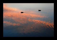 In den Sonnenaufgang schwimmen