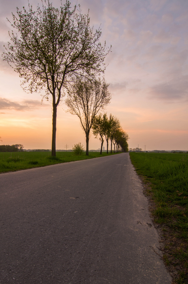 In den Sonnenuntergang