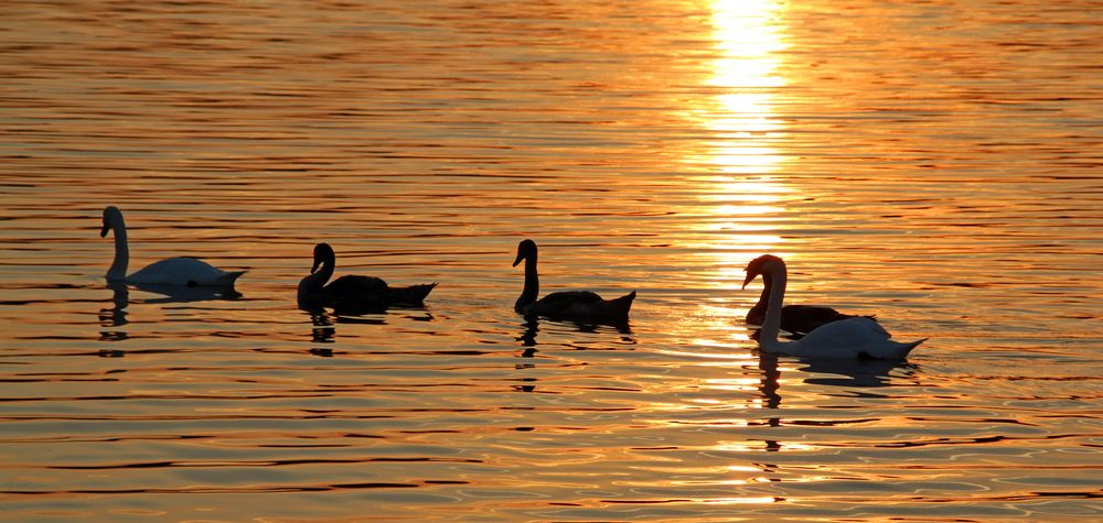 In den Sonnenuntergang