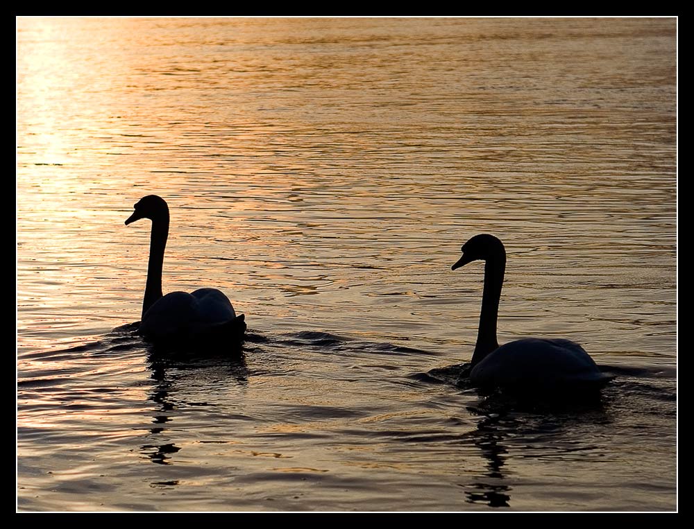 In den Sonnenuntergang