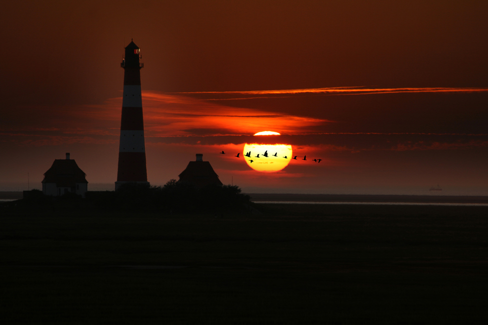 In den Sonnenuntergang fliegen . . .