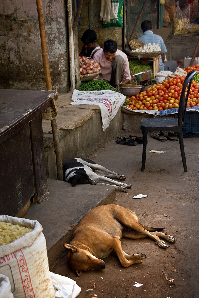 in den Straßen von Delhi