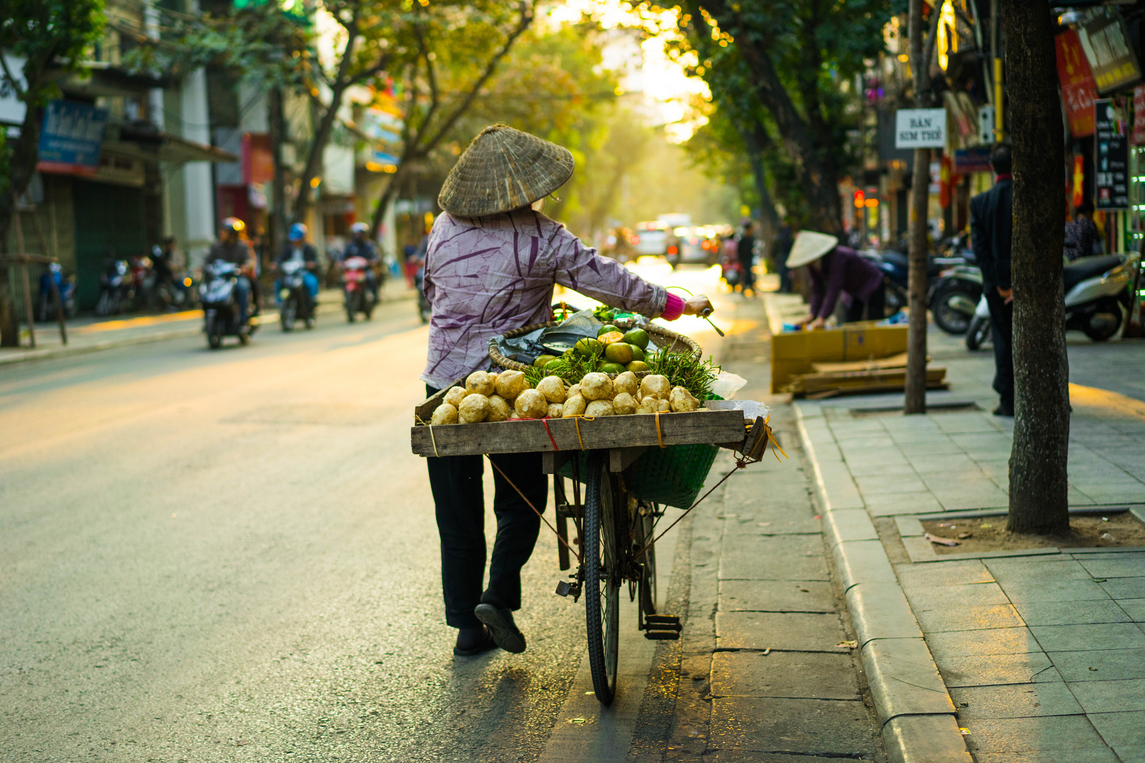 In den Strassen von Hanoi