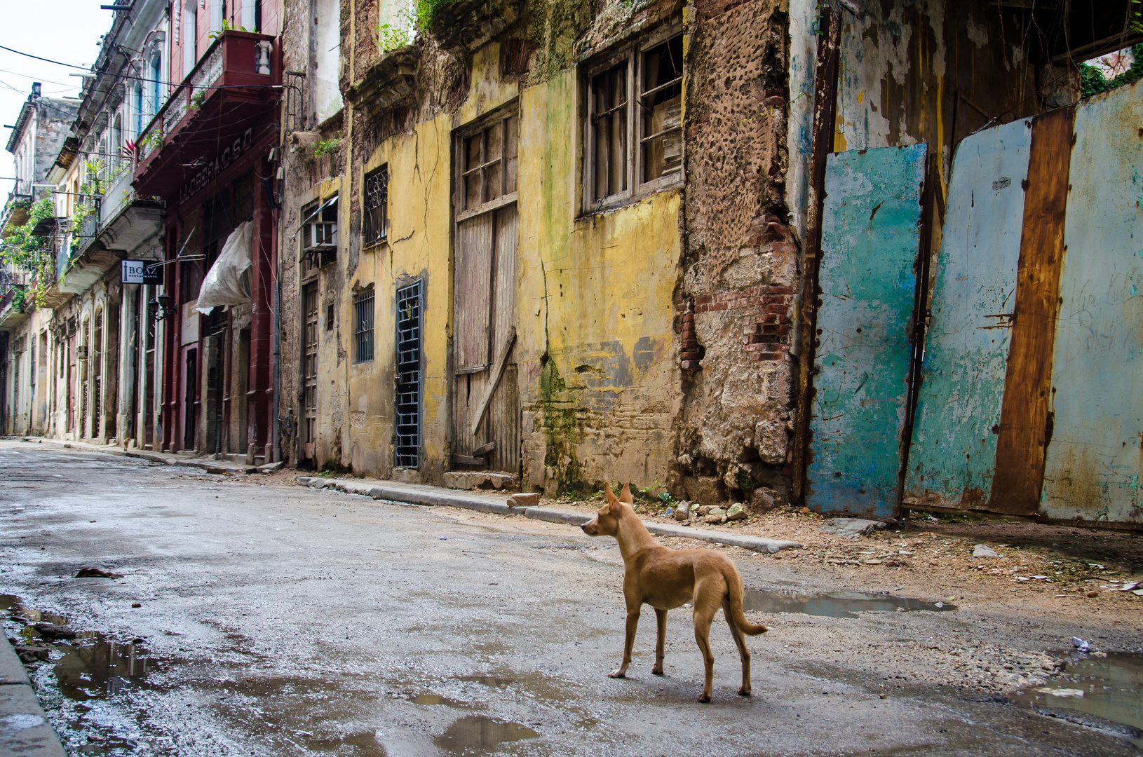 In den Straßen von Havanna