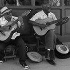 In den Straßen von Havanna - 2