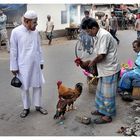 in den strassen von kolkata