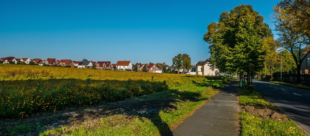 In den Straßen von Recklinghausen (25)