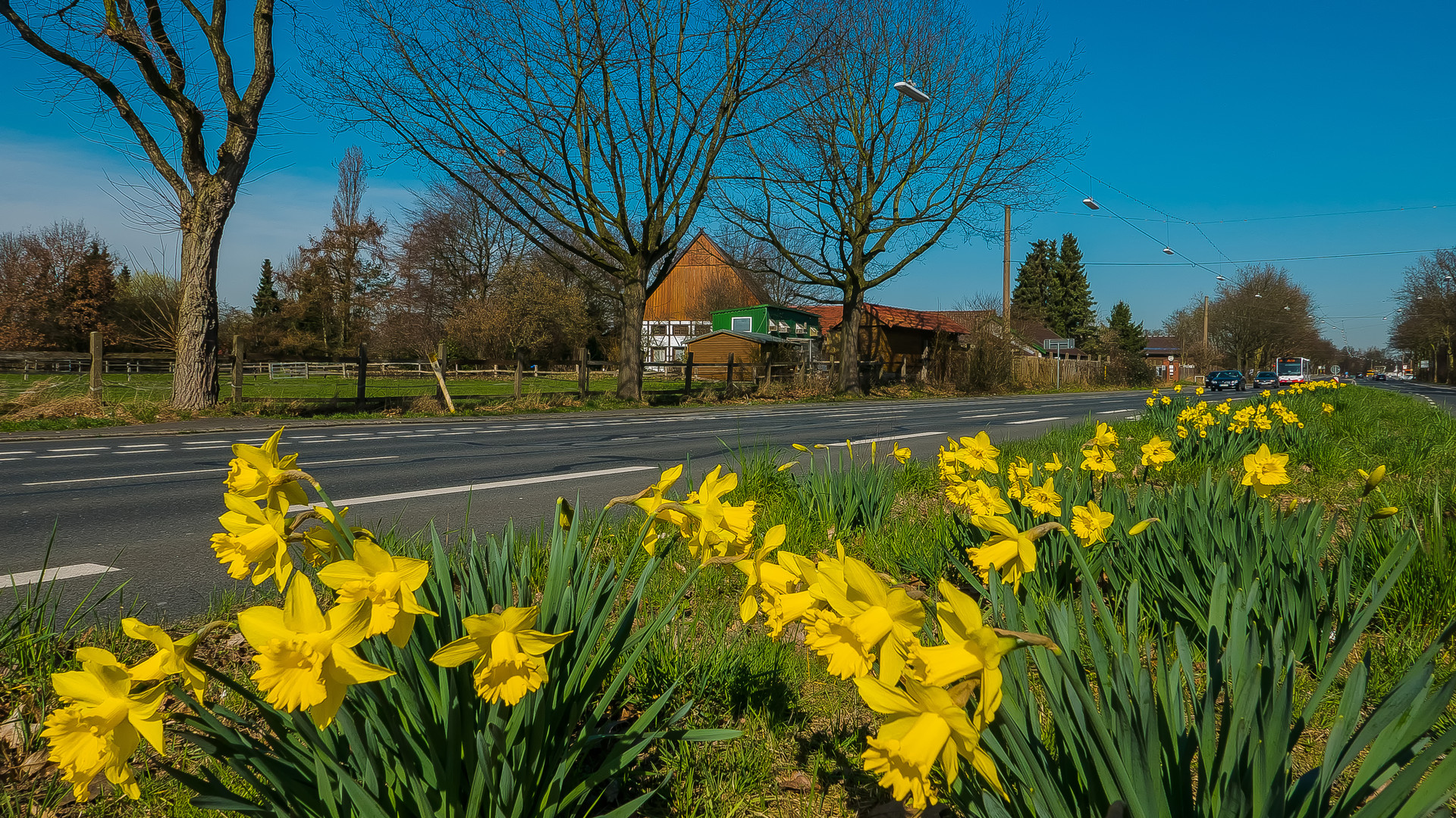 In den Straßen von Recklinghausen (61) 