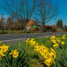 In den Straßen von Recklinghausen (61) 