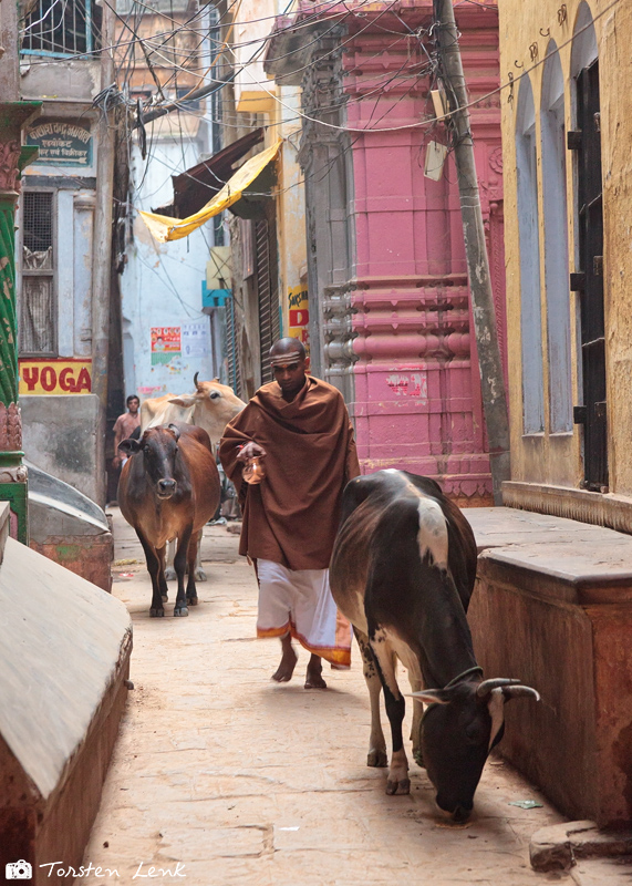 In den Straßen von Varanasi III