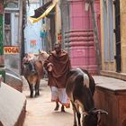 In den Straßen von Varanasi III