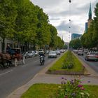 In den Straßen von Wien (107) 