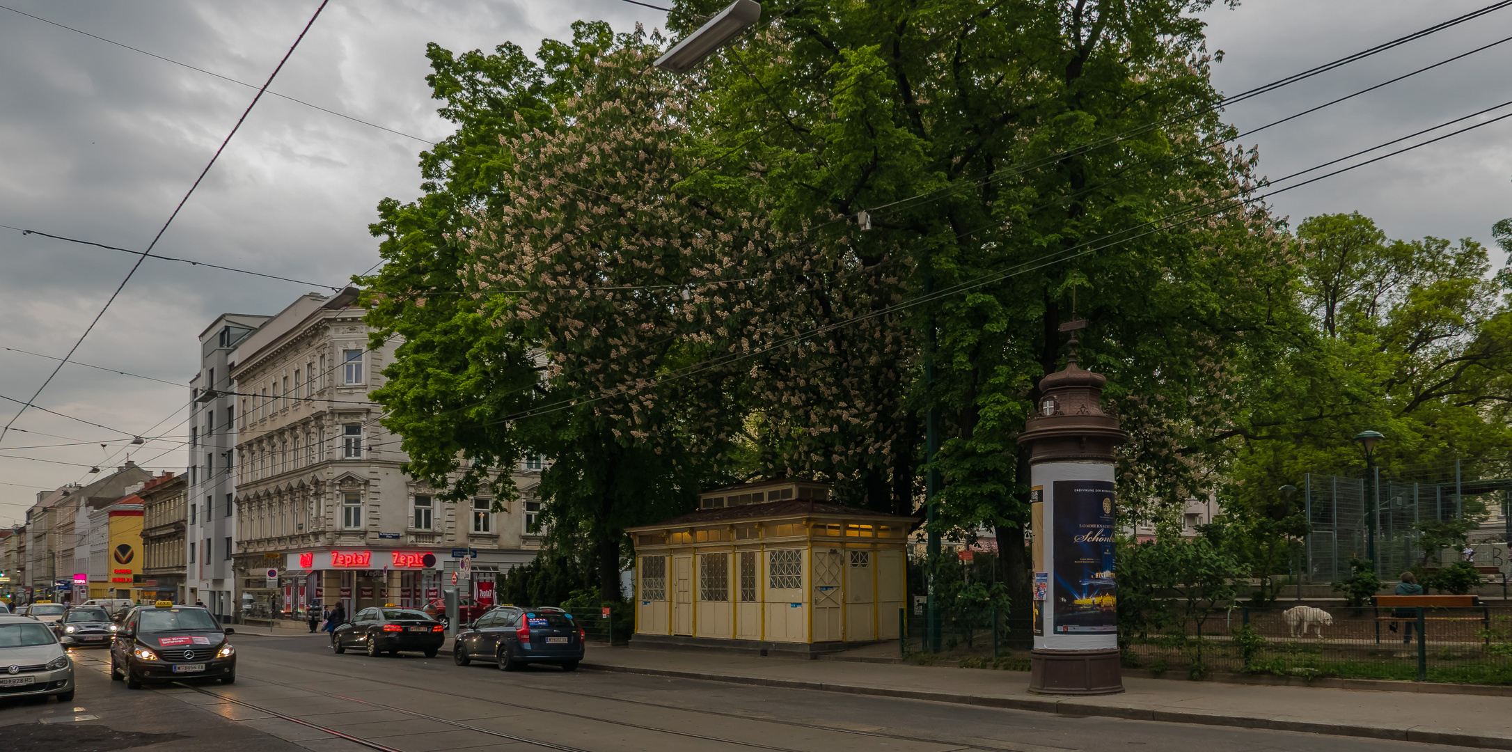 In den Straßen von Wien (114) 