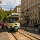 In den Straßen von Wien (134) 