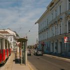 In den Straßen von Wien (146)