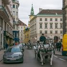 In den Straßen von Wien (185) 