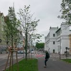 In den Straßen von Wien (190) 