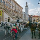 In den Straßen von Wien (202)