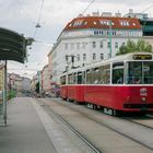 In den Straßen von Wien (220) 