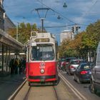 In den Straßen von Wien (246) 