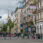 In den Straßen von Wien (251) 