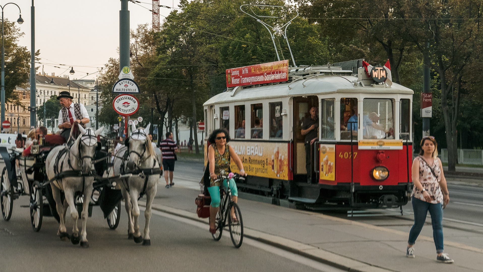 In den Straßen von Wien (259)