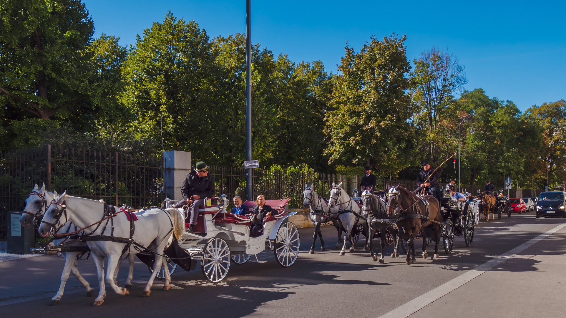 In den Straßen von Wien (266)