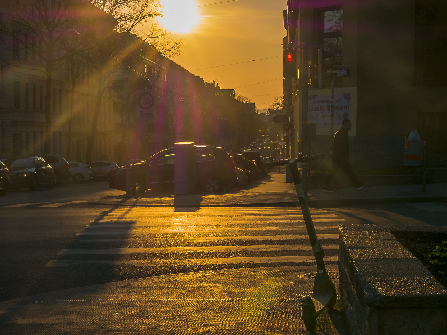 In den Straßen von Wien (300)