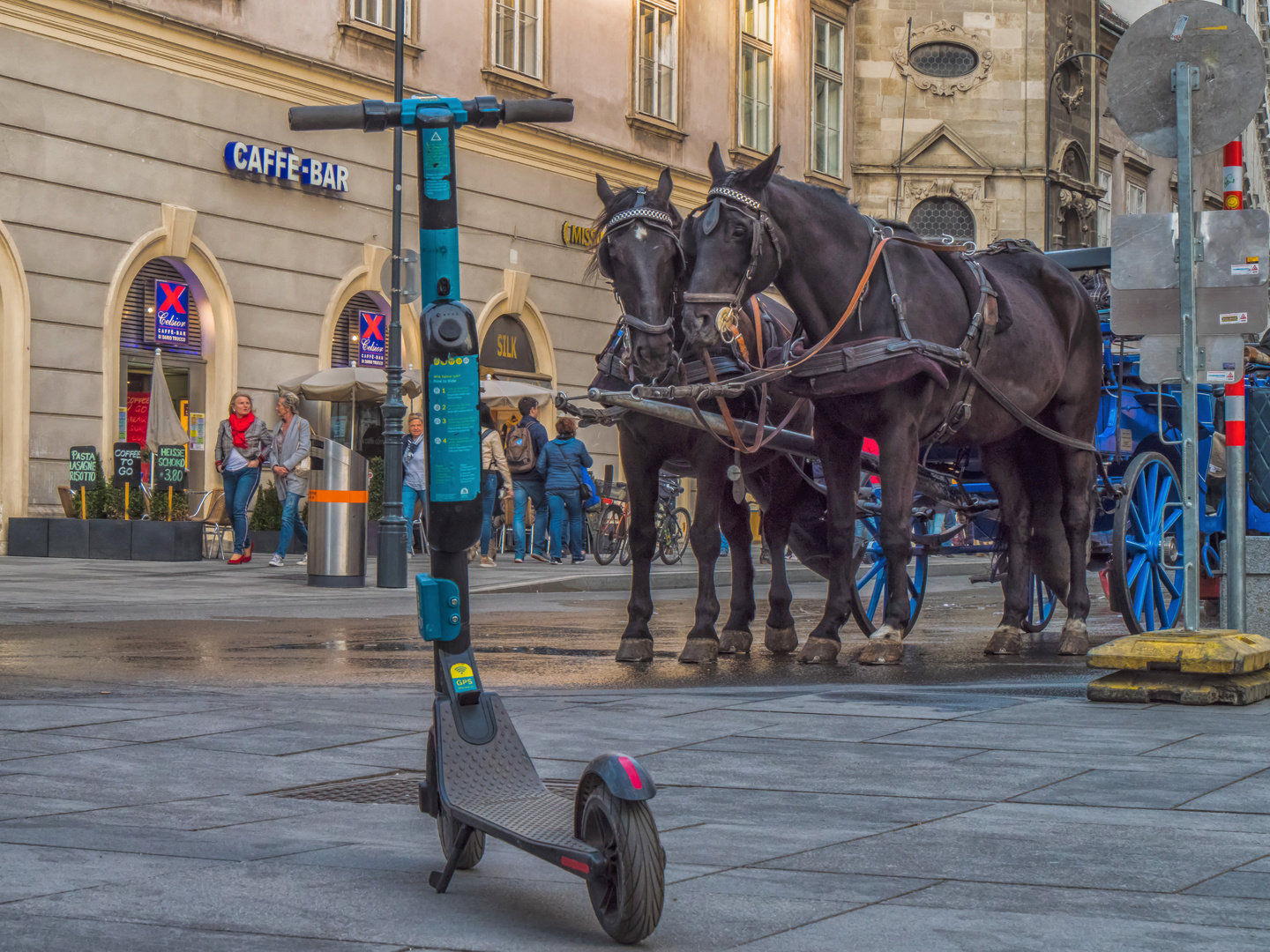 In den Straßen von Wien (301)