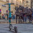 In den Straßen von Wien (301)