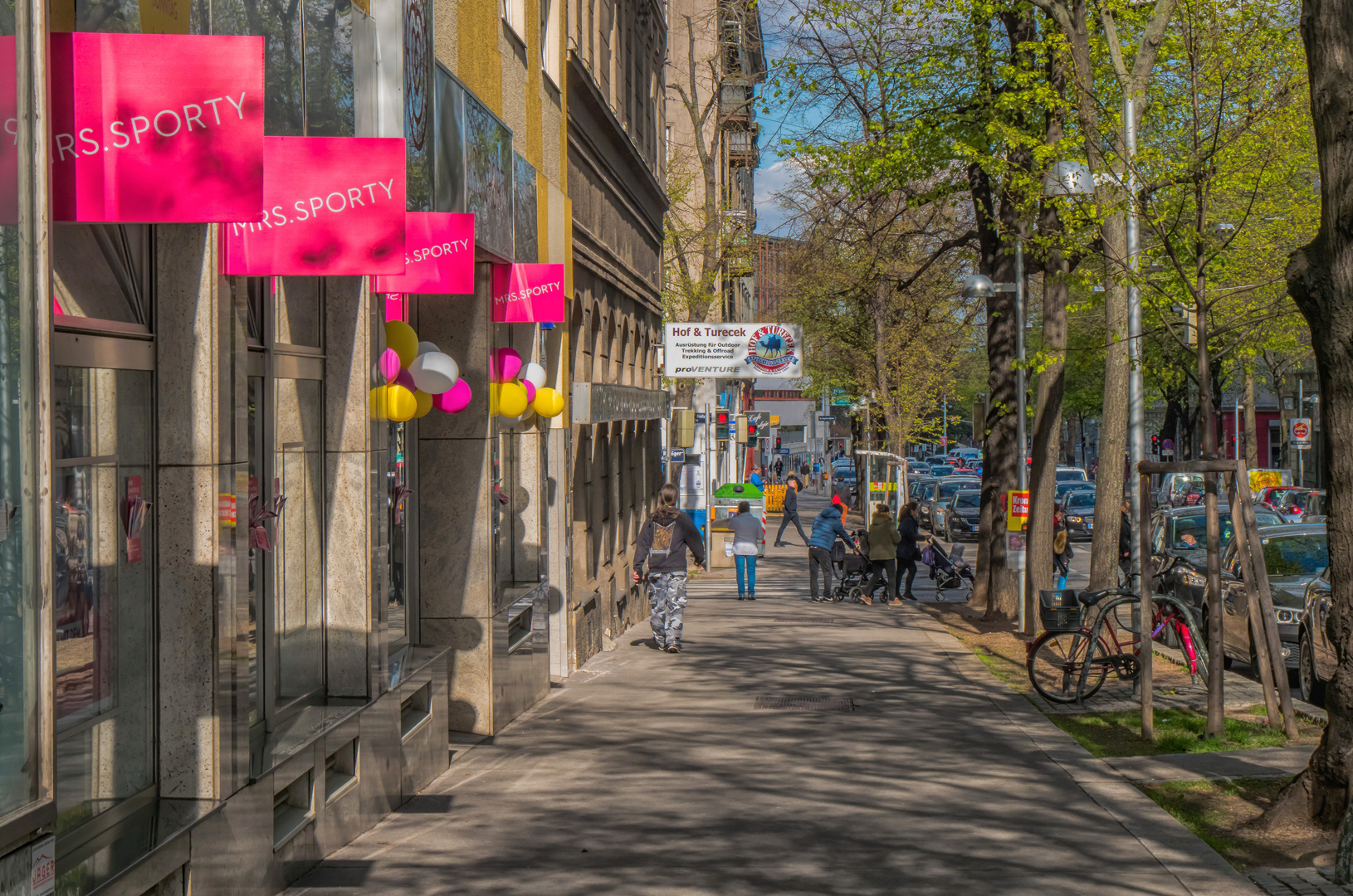 In den Straßen von Wien (321)