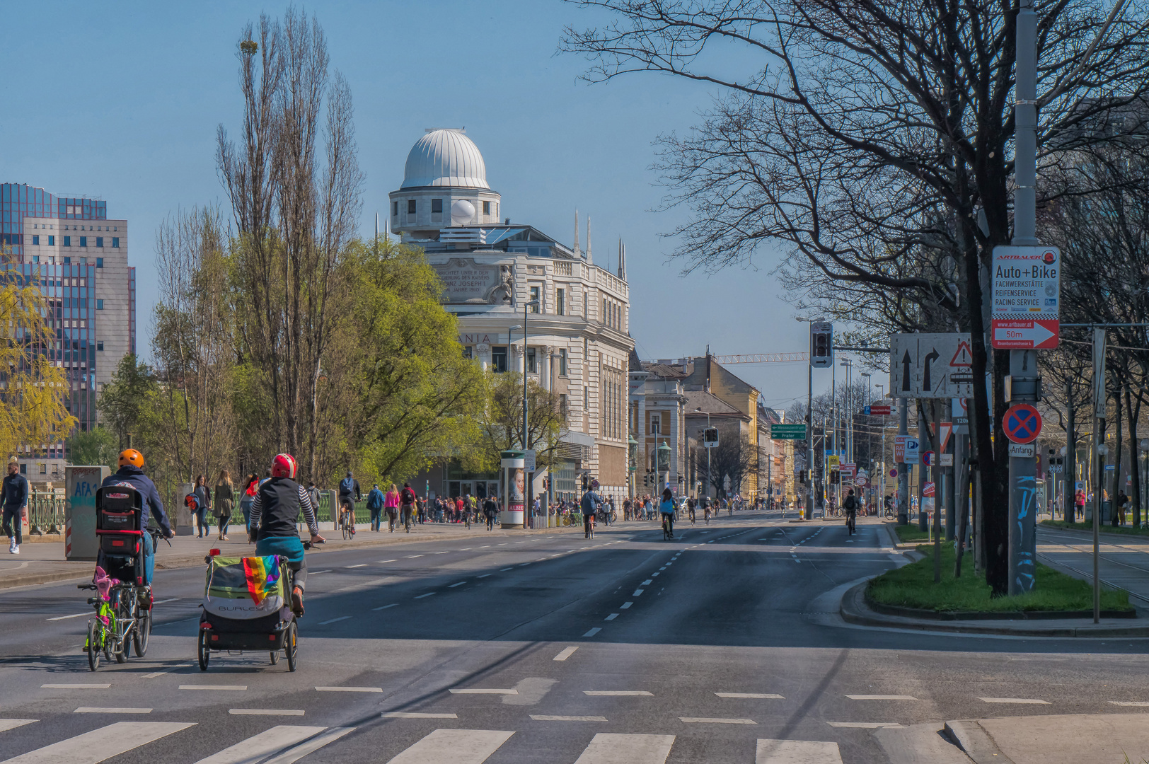 In den Straßen von Wien (327)