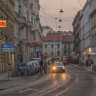 In den Straßen von Wien (331)