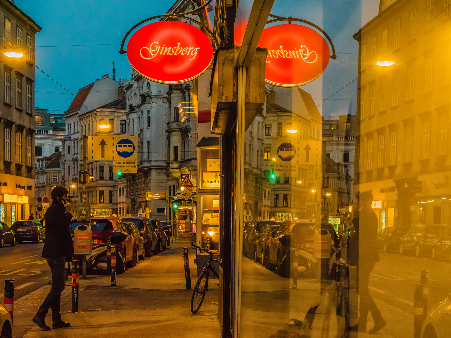 In den Straßen von Wien (332)