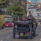 In den Straßen von Wien (338)