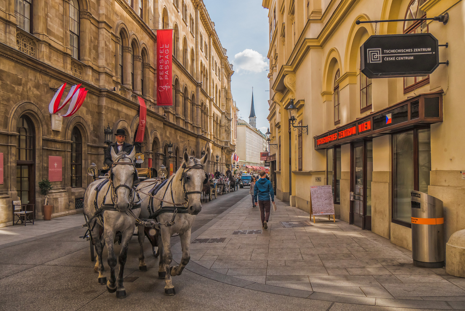 In den Straßen von Wien (351)