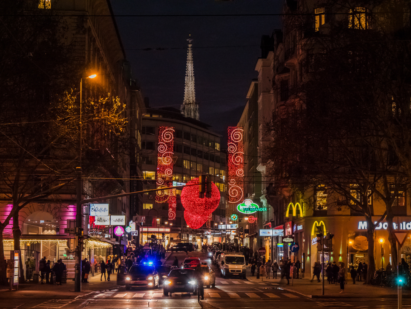 In den Straßen von Wien (354)