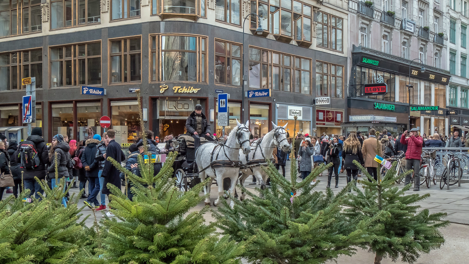 In den Straßen von Wien (355)