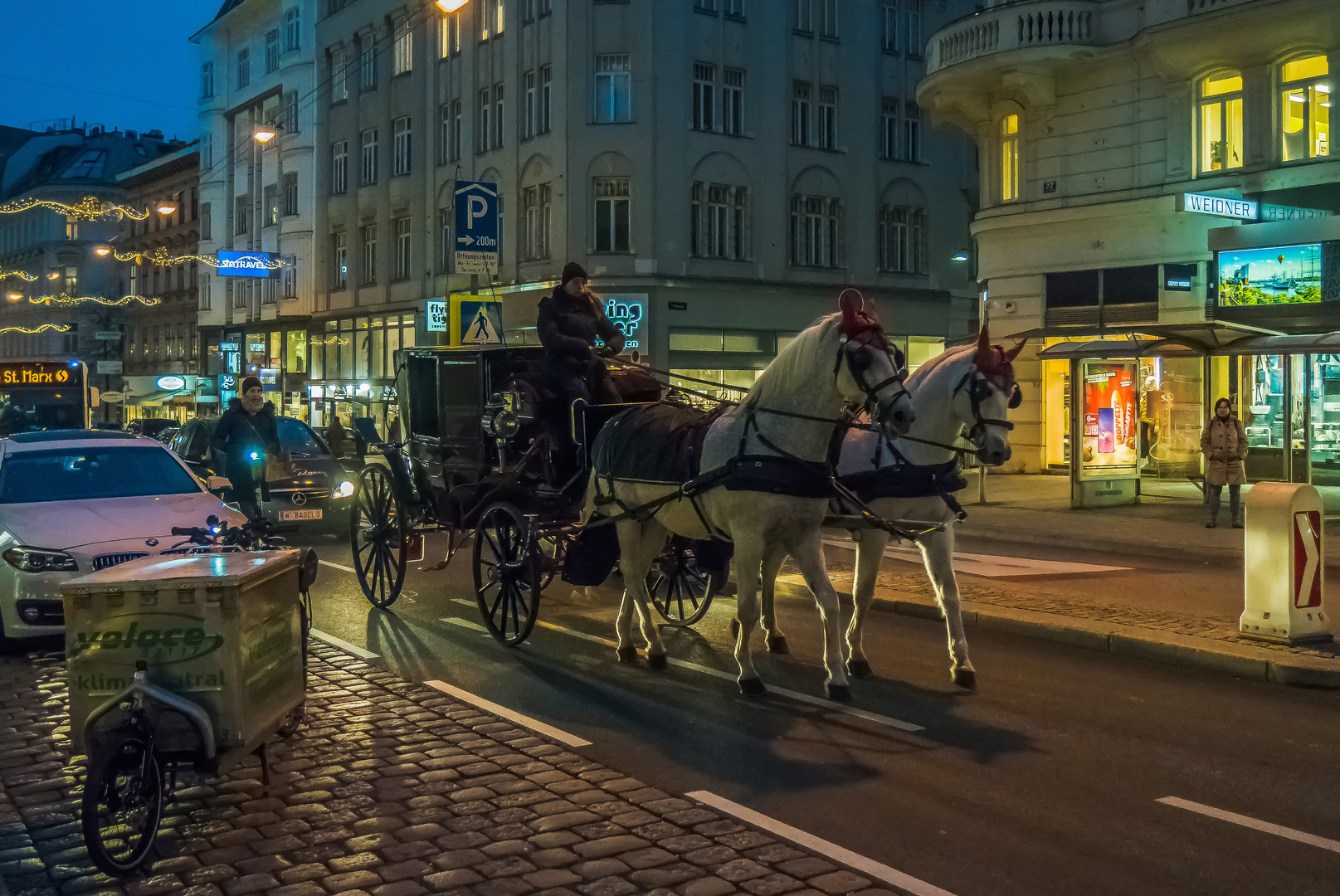 In den Straßen von Wien (361)