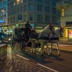 In den Straßen von Wien (361)