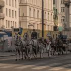 In den Straßen von Wien (384)