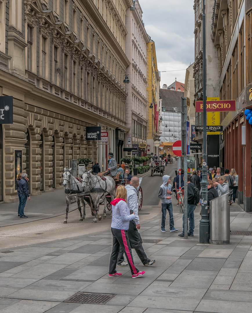 In den Straßen von Wien (414)