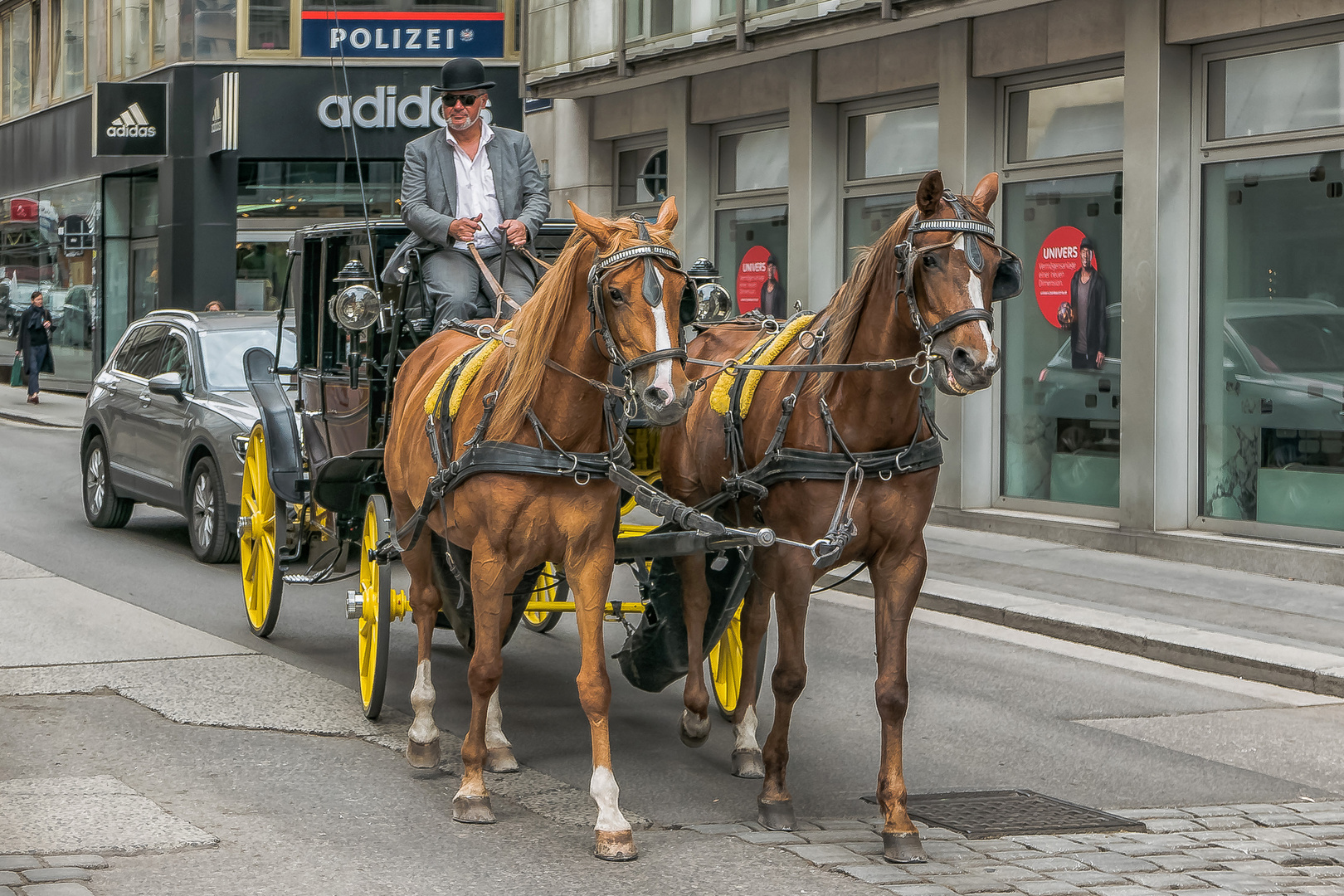 In den Straßen von Wien (418)