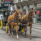 In den Straßen von Wien (418)