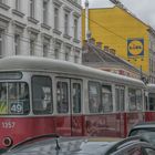 In den Straßen von Wien (423) 