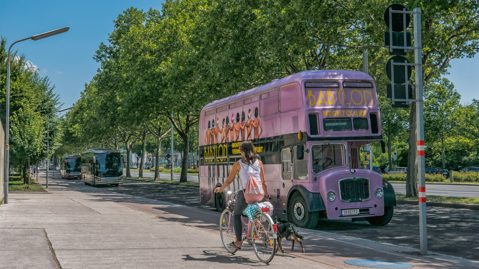 In den Straßen von Wien (429) 