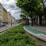 In den Straßen von Wien (44)